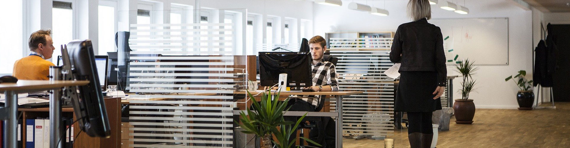 Office 365